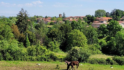 Lissieu - Sentier Géologie et Paysage