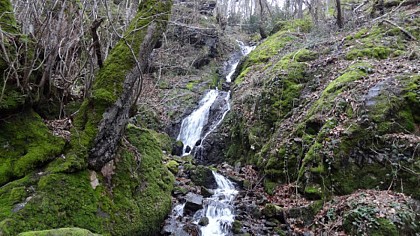 Le Hirtz à Wattwiller (68) : le long du Siehbaechle et sa cascade
