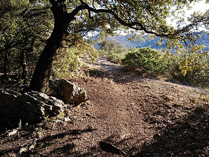 Balade sur le Devès de Nyons