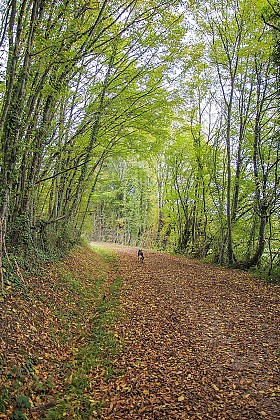 La Châtaigneraie Parlycoise