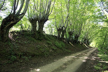 Sentier de Guédelon