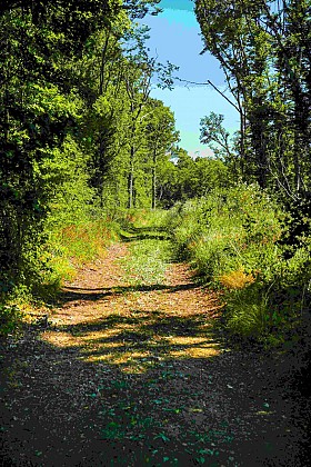 Les collines de Dracy