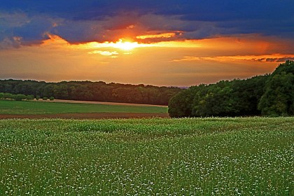 La Vallée des Ânes