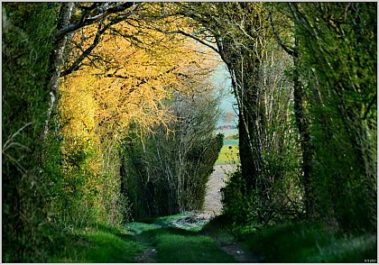 À cheval sur le Roichat et la Montagne des Alouettes