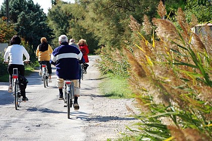 The bulls and the vine bath by bike