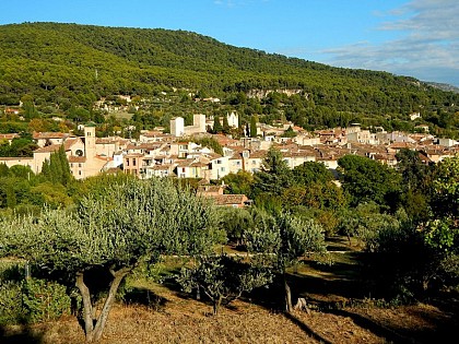 AUPS - La Croix des Pins