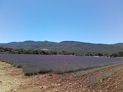 The Claparèdes plateau