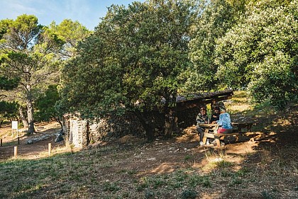 CUGES-LES-PINS - Crête de la Sainte-Baume et Jas de Frédéric