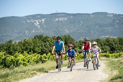 LA TOUR D'AIGUES - Sur le pays d'Aigues à vélo (Est)