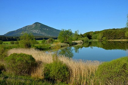 LE LOGIS DU PIN - LA MARTRE - Le chemin de Napoléon