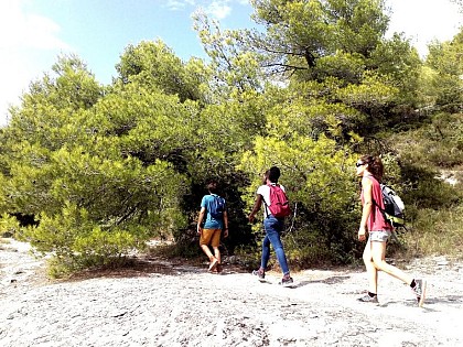 LES BEAUMETTES - Sentier botanique