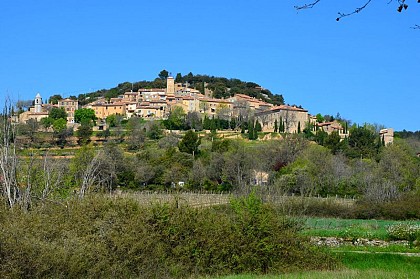 The Pelenc forest from Moissac Bellevue