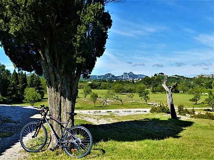 Alpilles Roquemartine by bike: the variant of Orgon