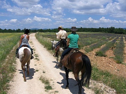 St-Michel l'Observatoire on horseback