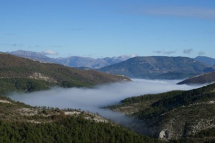 SALLAGRIFFON - Mont Saint-Martin