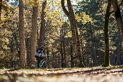 SAULT - Le Bois du Défends à VTT