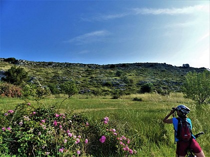 The Cabre and The Pécoule