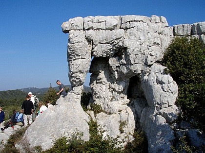 SIGNES - L'éléphant de pierre