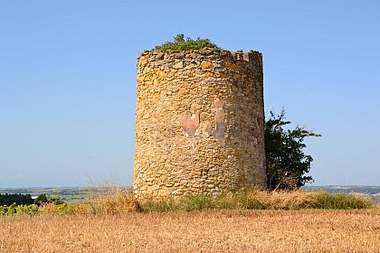 LA TOUR DU TELEGRAPHE