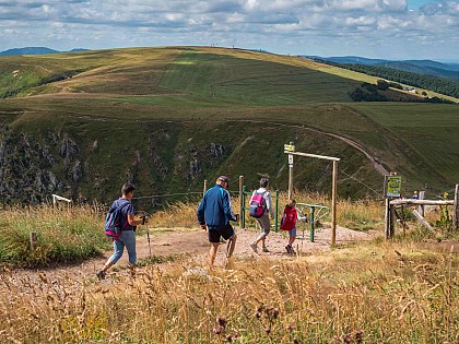 gr de pays: tour de la vologne - grandes echappées vosgiennes