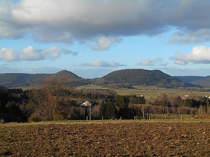 CIRCUIT - VICHIBURE - LA FOLIE