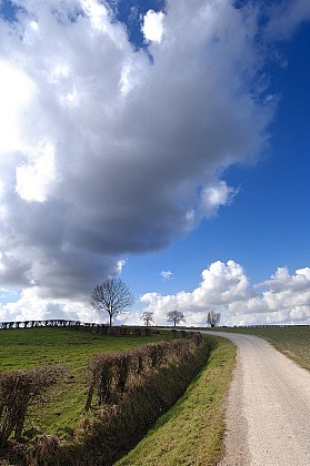 Via Francigena Etape 7 de Thérouanne à Amettes