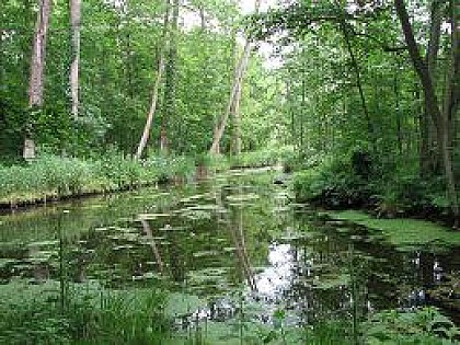Un village construit autour d'une source - Une balade à la découverte de Valmont