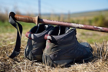 Balade historique "Bienvenue sur les chemins des louverciens"