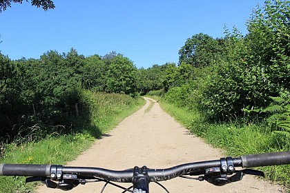 Circuit n°15 - Espace VTT-FFC Ambert-Crêtes du Forez