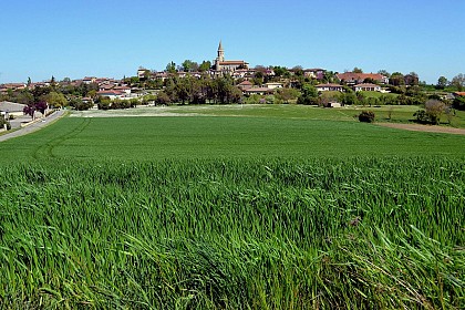 Balade par le Bois de Pilhat