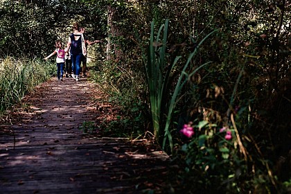 Balade à Roulettes n°5 L'espace naturel du lac de Castet