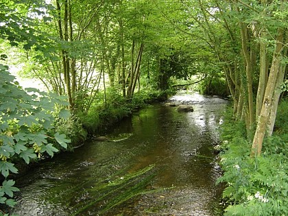 Circuit du meunier à Langoëlan - Circuit n°32