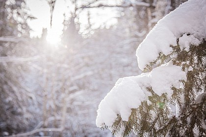 Itinéraire rando hiver Chemin de Lady les Granges