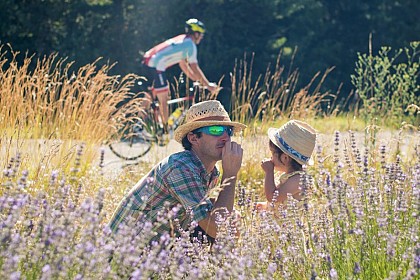 La route des lavandes à vélo (N°13)
