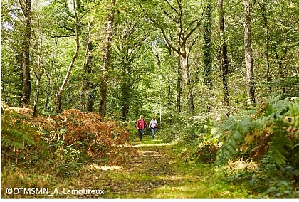 A la découverte du Bois d'Ardennes