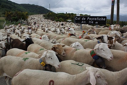 Le col de Peyrefiche
