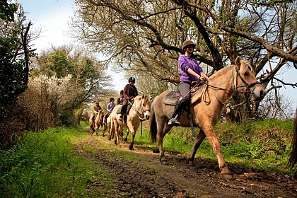 Circuit équestre Aux portes de Saint-Méen-le-Grand (n°3)
