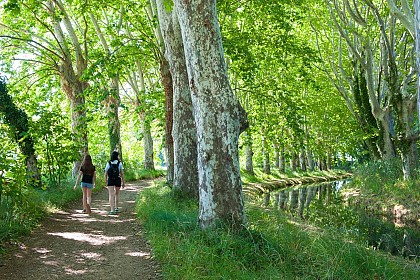 11 / Mirepeisset : au fil de l'eau