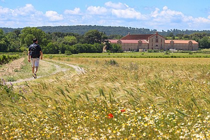 13 / Moussan : l'écluse de Moussoulens