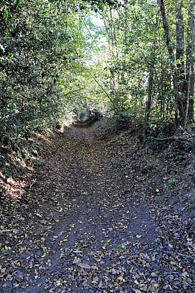 Les Méandres de la Sarthe