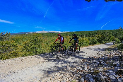 VTT n°00 - Montée du Ventoux Ouest