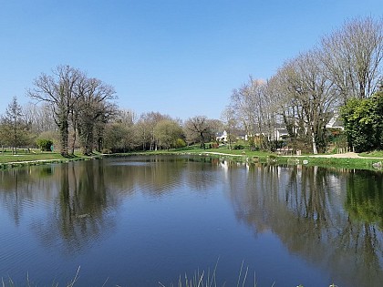 Circuit des Etangs Pluméliau