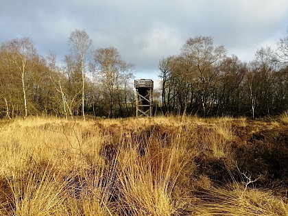 La Tourbière du Pré Maudit