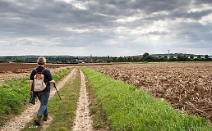Igé - Saint-Cyr-la-Rosière Via Appenai-sous-Bellême 20,5 km