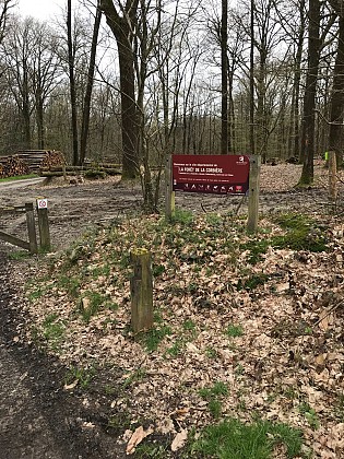 La Bouexière Le pas des Romains