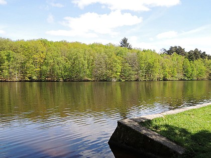 RANDO "Les trois bourgs"