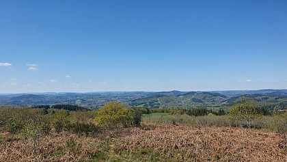 Patrimoine et forêt du Limousin