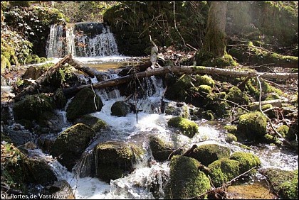 Le ruisseau des moulins