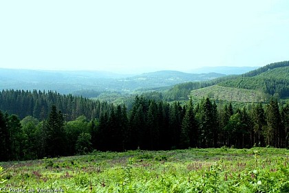 Circuit Les Trois Croix