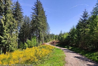 Circuit du Mont de Nedde